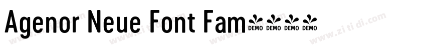 Agenor Neue Font Fam字体转换